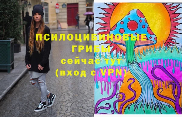 apvp Карталы