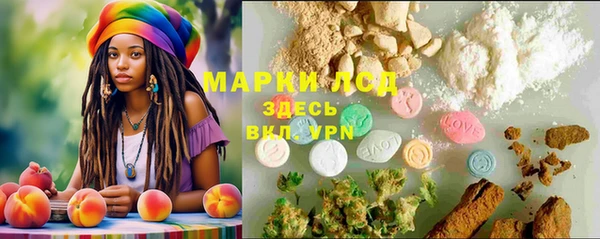 мет Касимов