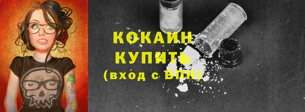 мет Касимов