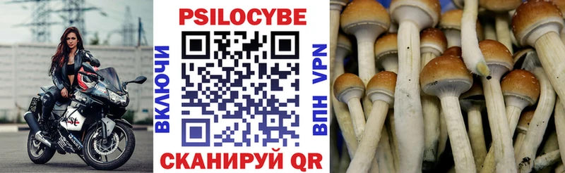 Псилоцибиновые грибы прущие грибы  Купить  Джанкой 